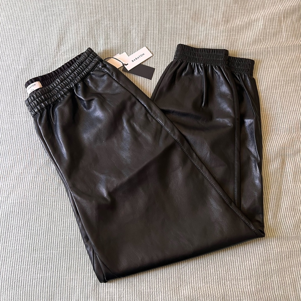 Aritzia Babaton Vegan Leather Pants